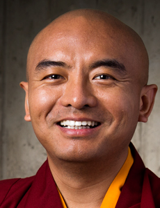 Yongey Mingyur Rinpoche