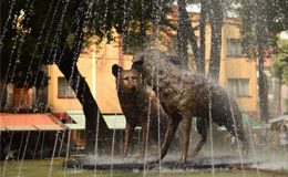 Grupo de práctica: Ciudad de México