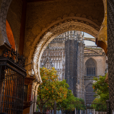 seville-pg-230x230-1