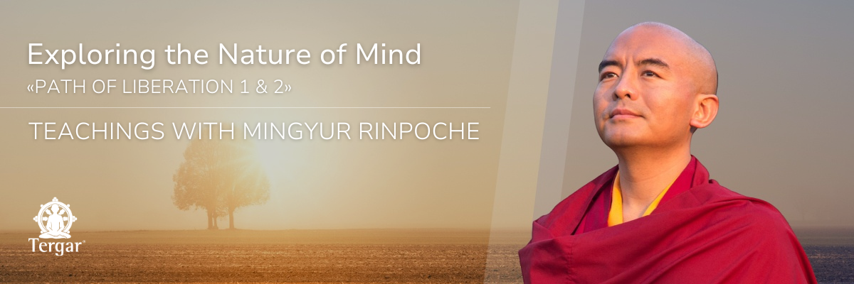 Mingyur Rinpoche Retreat in Puebla