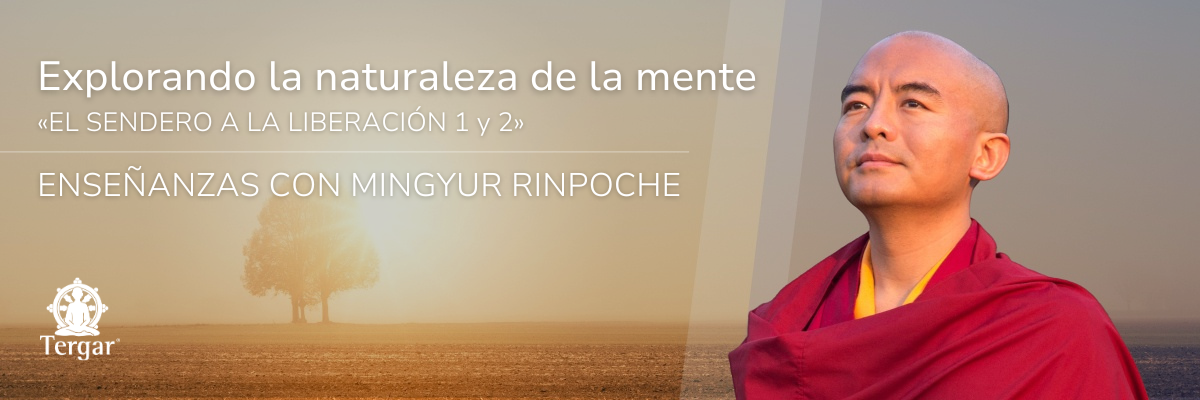 Retiro Mingyur Rinpoche Puebla
