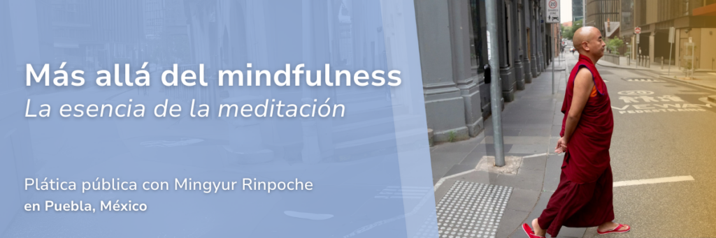 2025 Más allá del mindfulness-es_LA