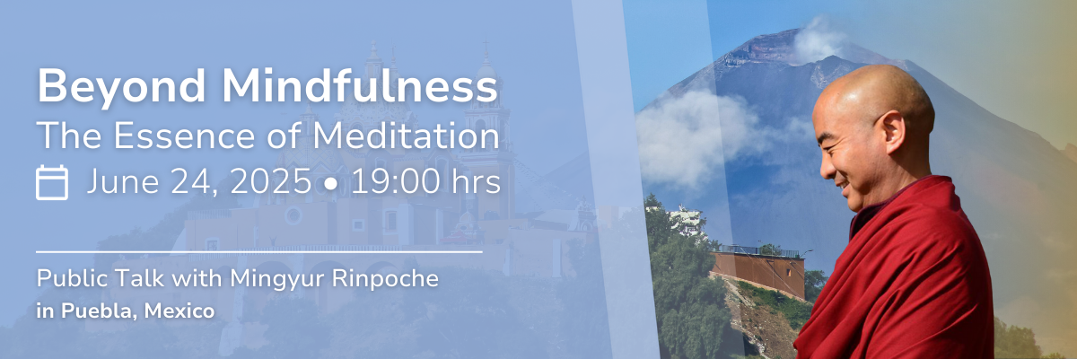 Mingyur Rinpoche Public Talk