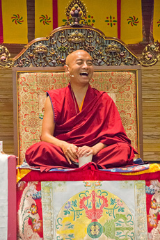 1-ymr-phoenix-230×345