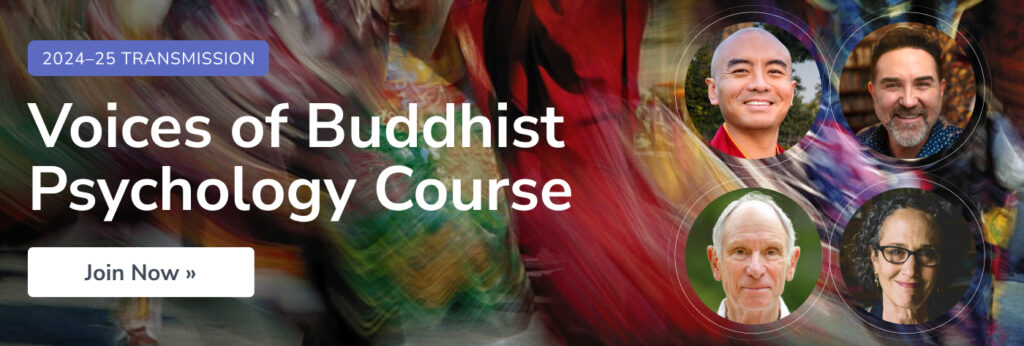 1400×473-TAD-Voices-VOL