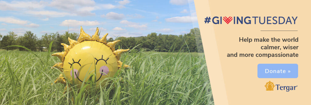 1400x473_org-GivingTuesday-23