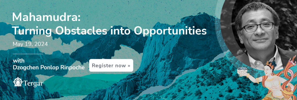 1400x473_org-MahamudraOpportunities