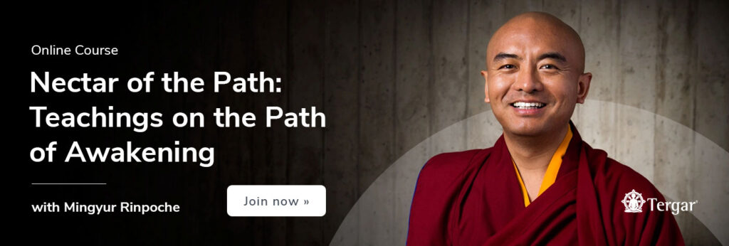 1400x473_org-NOPCourse