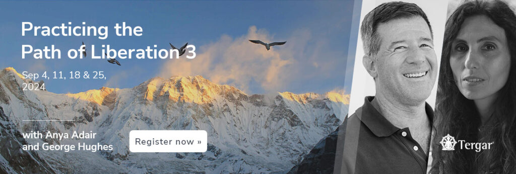 1400x473_org-POL3-Speakers