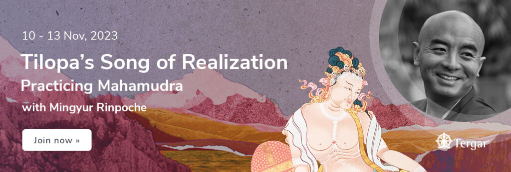 1400x473_org-PracticingMahamudra