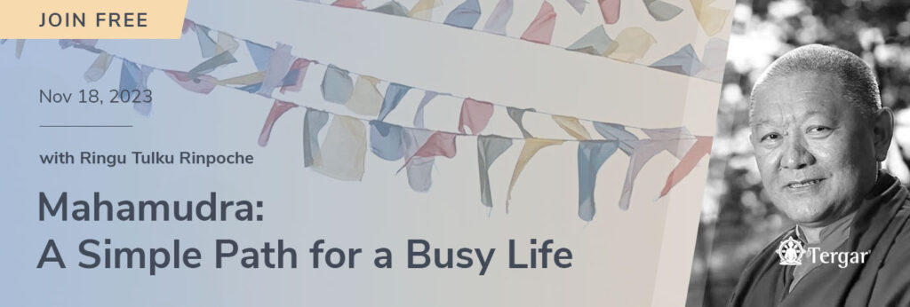 1400x473_org-SimplePath (1)