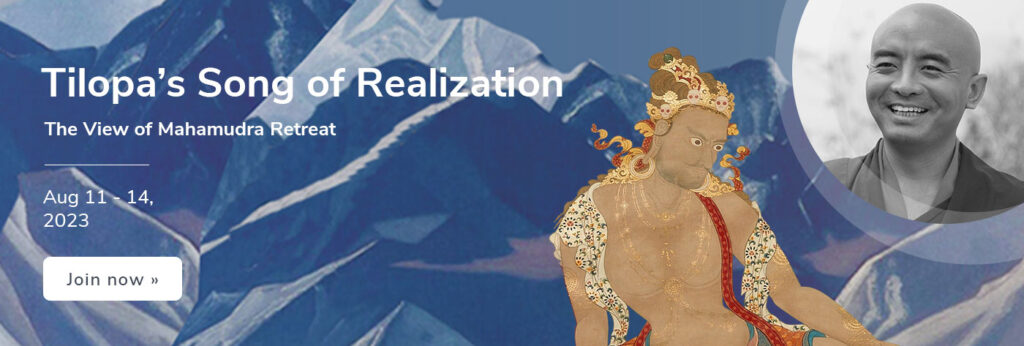 1400x473_org-Tilopas-2