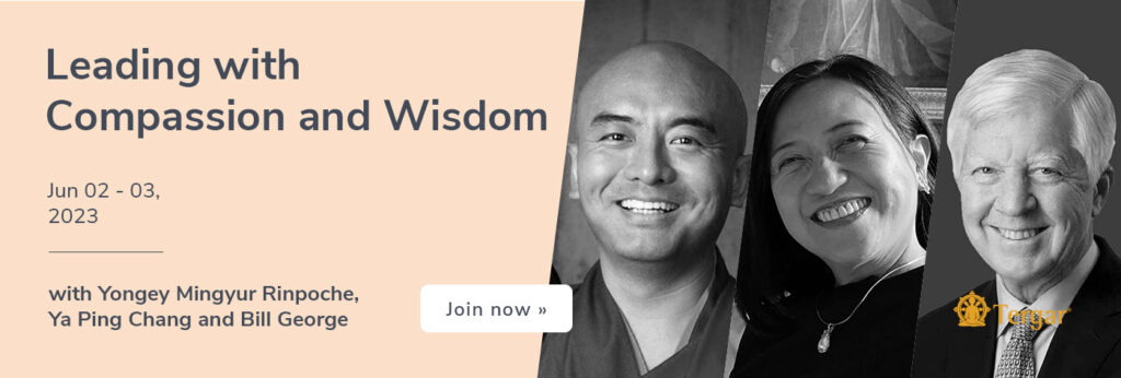 1400x473_org_LeadingCompassion