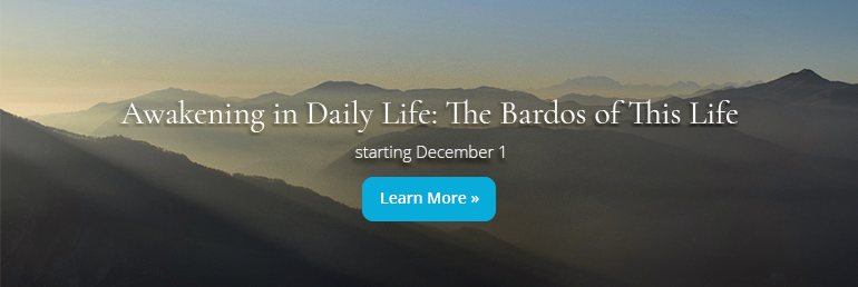 Awakening-in-Daily-Life-770×258