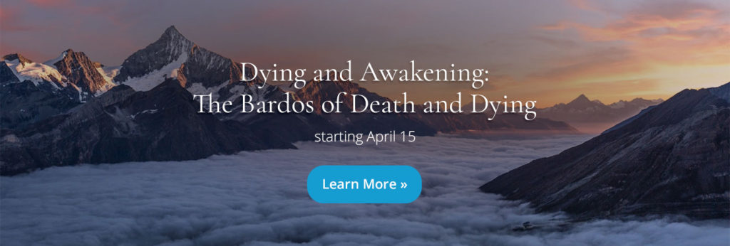 BDD-banner-tergarorg