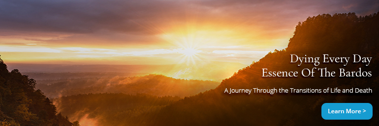 Essence-of-the-Bardos-770×257