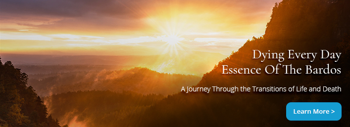 Essence-of-the-Bardos-Home