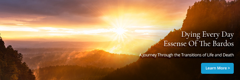 Essence-of-the-Bardos-Home_1