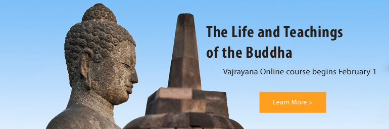 LTB-Tergarorg-banner-770