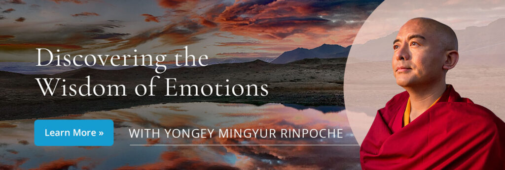 discovering-retreat-tergarorg