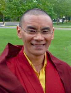 lama-trinley-201602-230×300