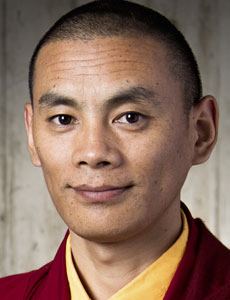 lama-trinley-201612-230×300