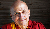 matthieu-ricard-201×119