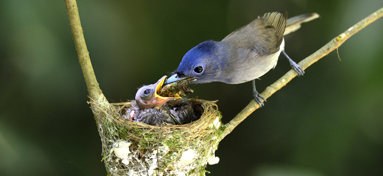boundless-heart-760×350