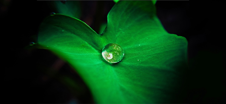 j3-facebook-760×350