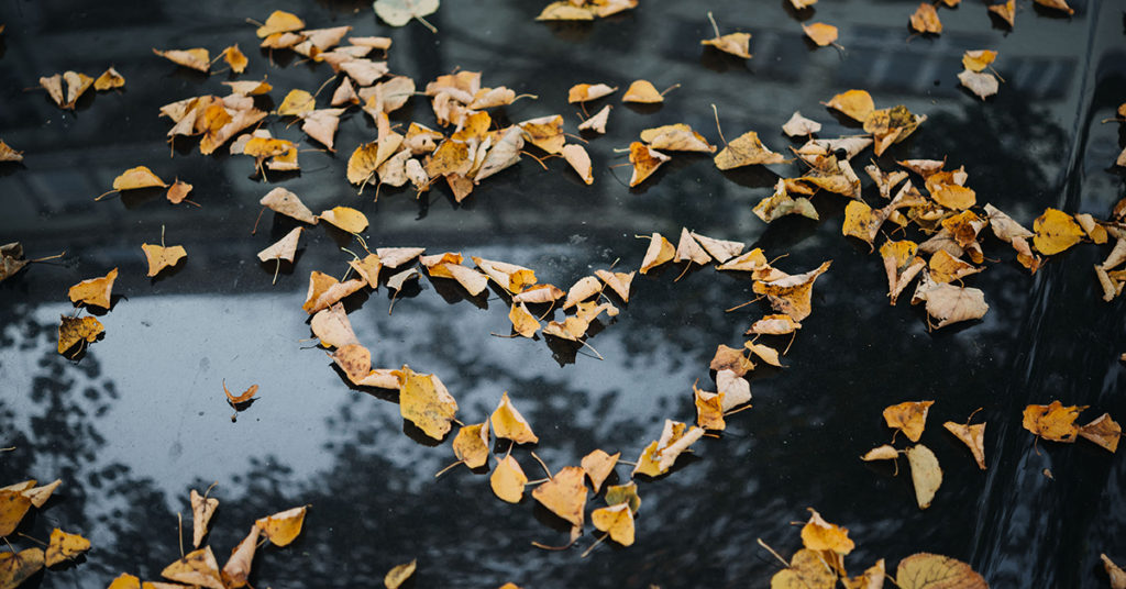 interdependence-compassion-1200×628