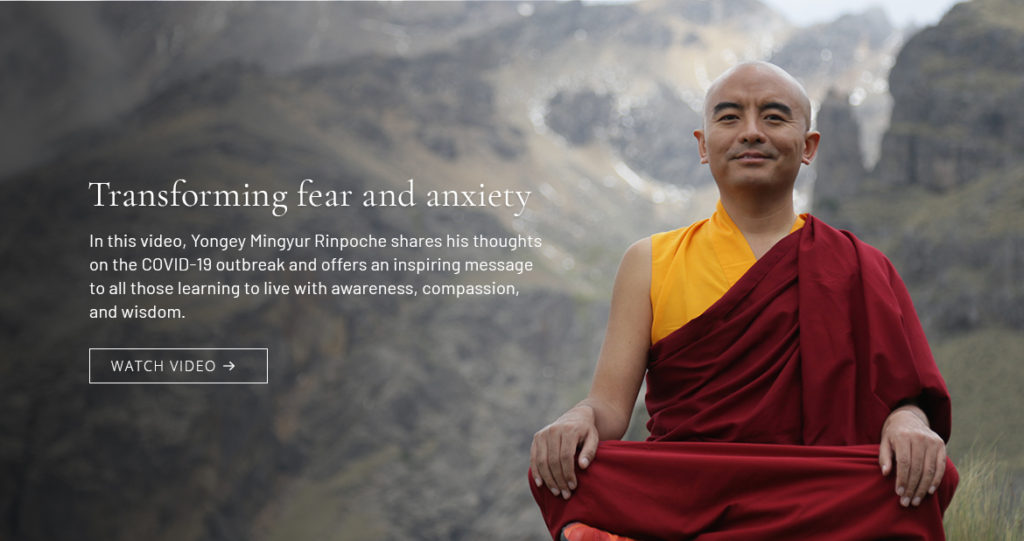 banner-rinpoche