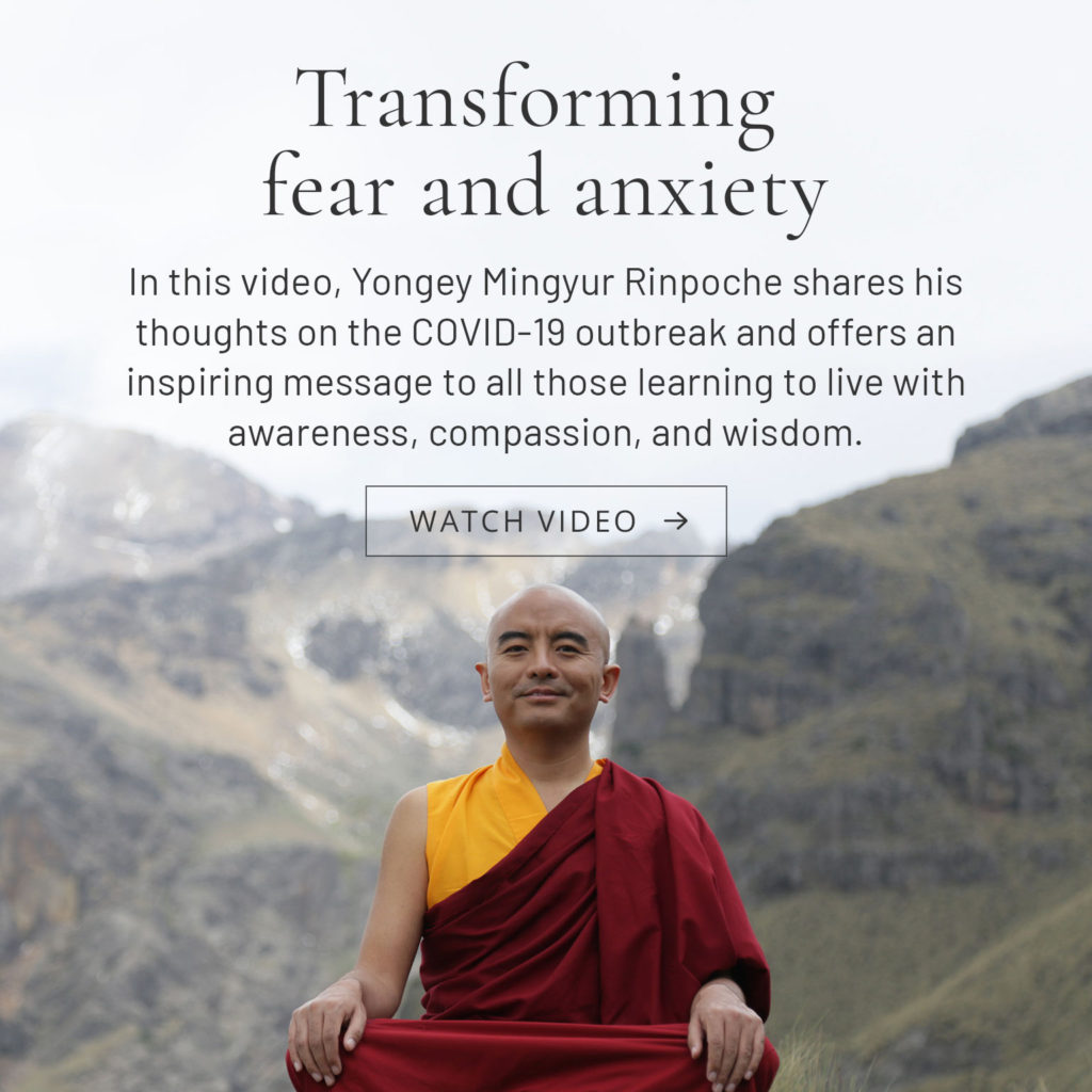 banner-rinpoche-movil