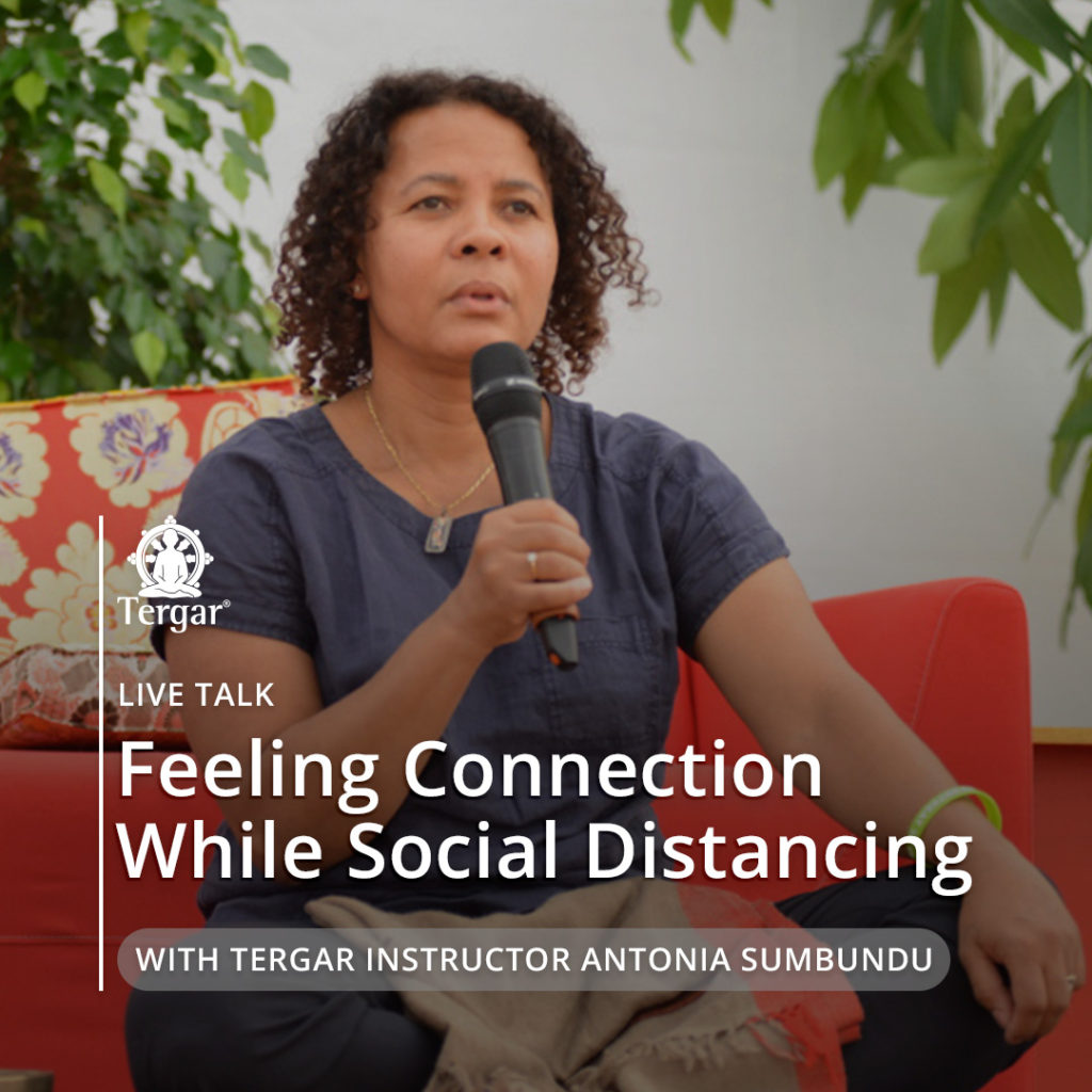 antonia-feeling-1080×1080