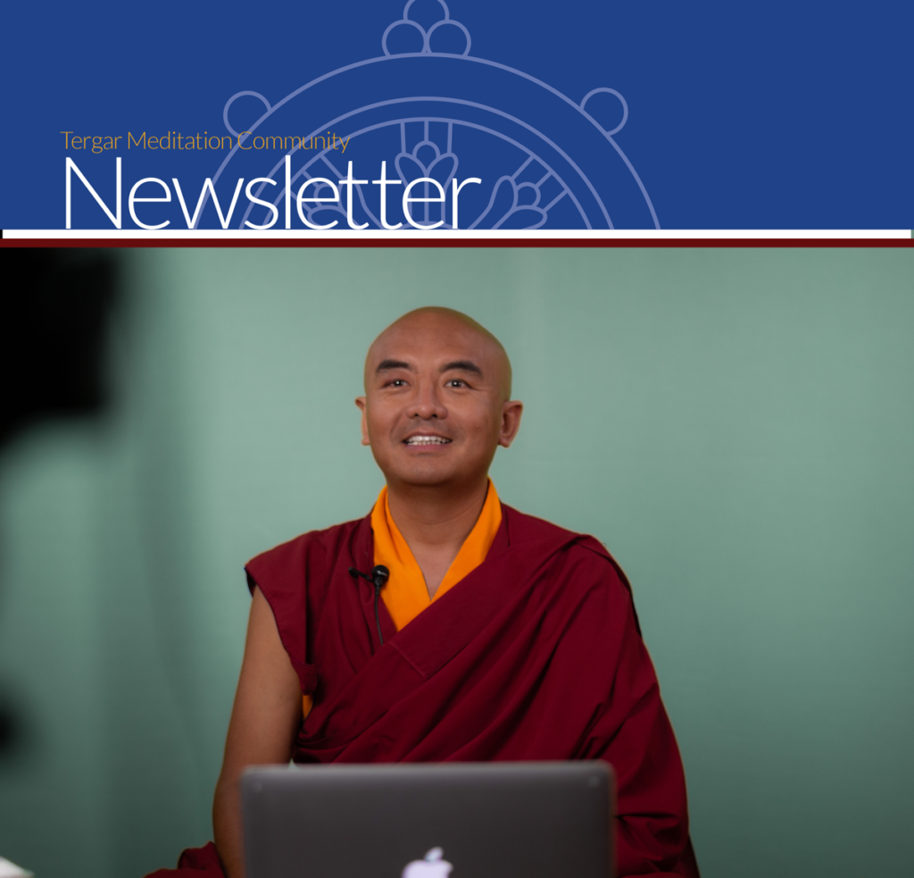 2020NovNewsletterImage