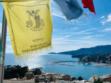 3-practice-group-italy-230×345