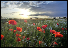 humlebaek-1-230×164