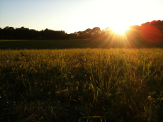 humlebaek-3-230×173